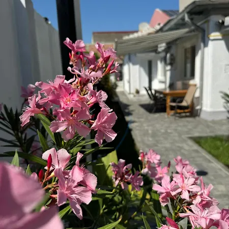 Σπίτι διακοπών Nord 22 Κονστάντζα