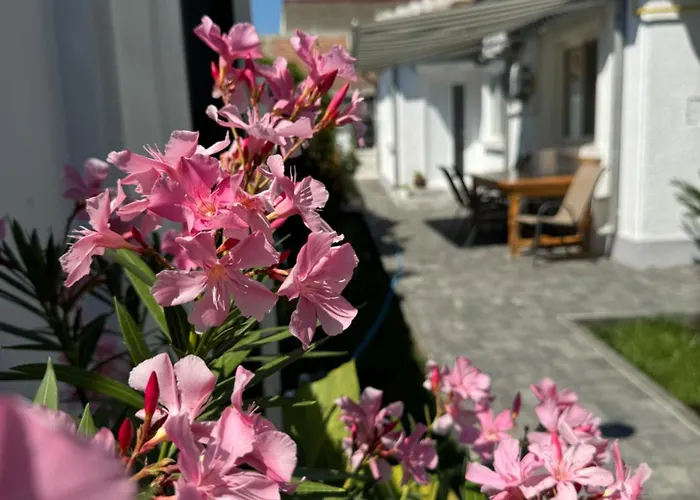 Nyaraló Nord 22 Konstanca